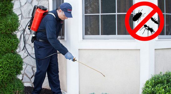 Çamlıhemşin Tahtakurusu İlaçlama böcek ilaçlama ve haşere kontrolü — ilaclama-tr.com